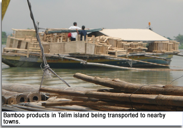 Bamboo product in Talim island being tranported to nearby towns