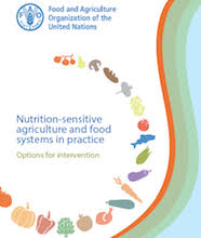 PHOTO Nutrition-Sensitive Agriculture