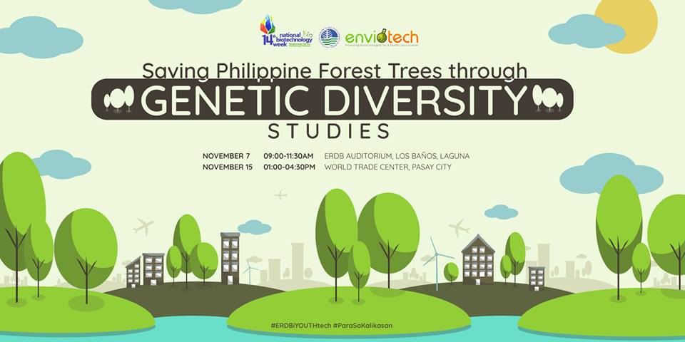 PHOTO Saving Philippine Forest Trees Through Genetic Biodversity