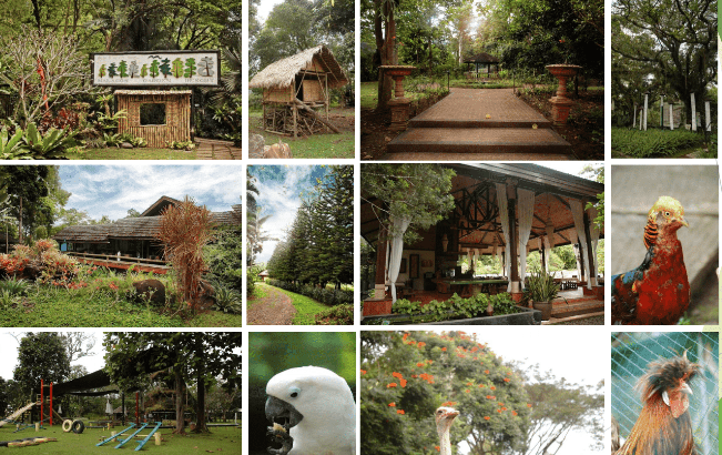 PHOTO Malagos Garden REsort