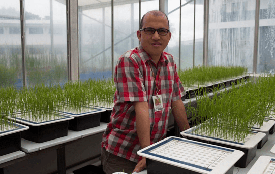 “Rethink” agriculture interventions as COVID-19 lockdown reduces number of farmers, their income, and GDP – SEARCA&nbsp;chief