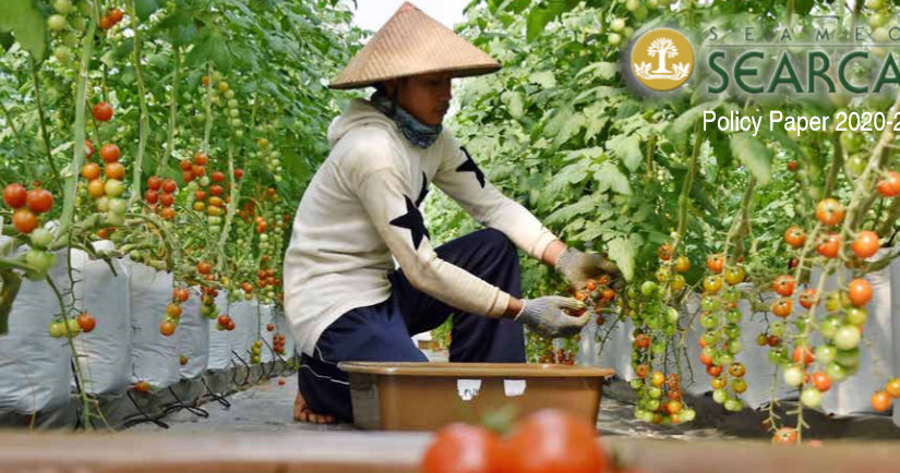 Small Mindanao vegetable farmers, Dong Lieu starch farmer- processors in Vietnam now ‘agricultural clustering’ success&nbsp;models