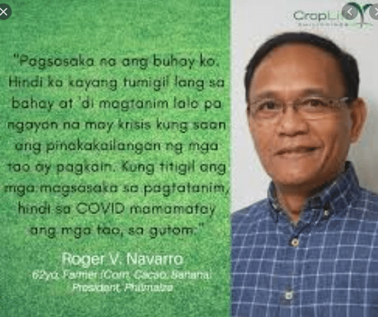 Wheat imports feared to cause downward spiral on the already depressed corn price of P12 per kilo; govt urged to invest in storage, buy farmers’&nbsp;produce