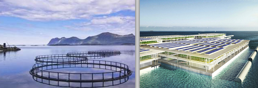 Ph seized special recognition from prestigious Rockefeller-funded Food System Vision&nbsp;Prize