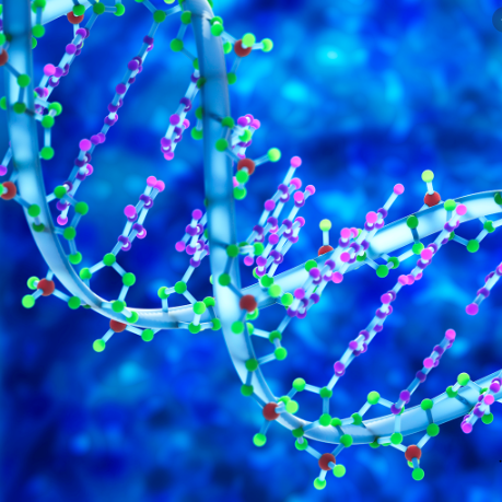 Plant breeders urged to use genomics to fast-track development of crops with superior&nbsp;traits