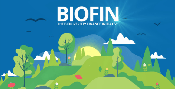 Govt, private agencies urged to “invest in nature” as this generates $350B per year in improved ecosystem services, eliminate future&nbsp;pandemics