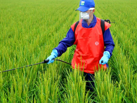 Pilot project in Benguet, Pangasinan, Tarlac to urge farmers to wear personal protective equipment while spraying crop protection&nbsp;products