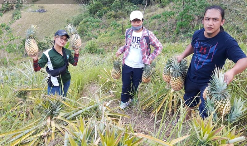 P120M road and P72M RCDG bridge projects bring hope of easier market access for pineapple farmers of&nbsp;Ifugao