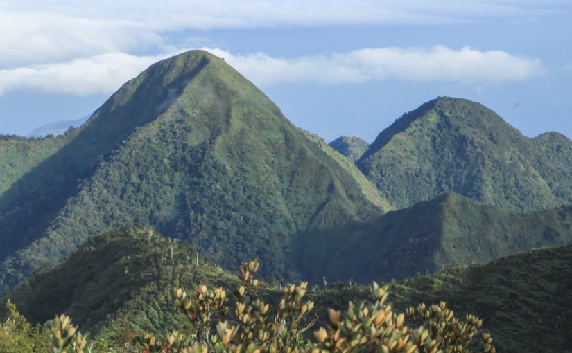 DENR partners with KGV, Forest Foundation, Holcim,  planted more than 300 hectares of coffee, abaca, bamboo, ratttan in Mt.&nbsp;Kitanglad