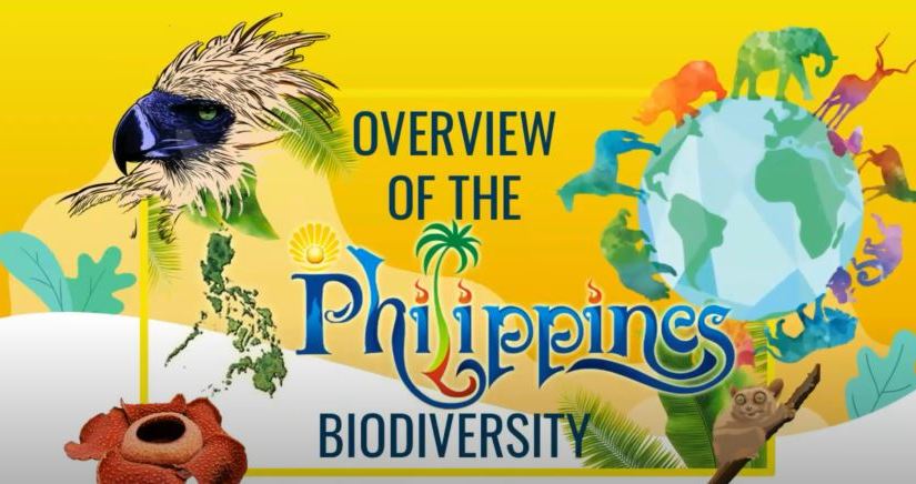 Private sector support for PPP sought to fund P24B yearly biodiversity strategy program up to&nbsp;2028