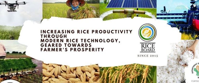 Rice Board supports DA’s clustering program for 100 hectares of hybrid rice land in 15 provinces, presses for budget&nbsp;assurance