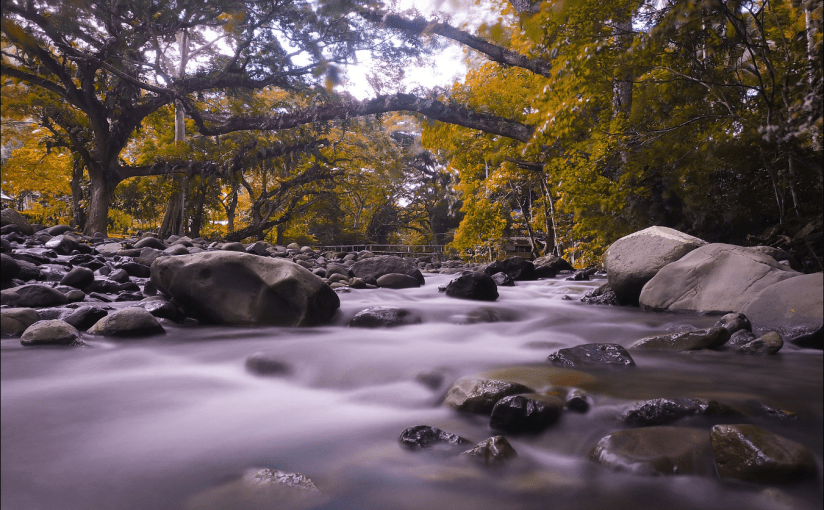 Zamboanga City cacao farmers started to supply dried cacao beans to Hershey chocolate’s Kennemer, help sustain Pasonanca Natural&nbsp;Park