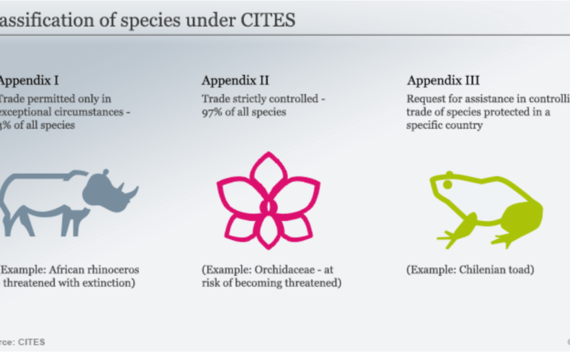 Automation of permits to trade endangered flora and fauna&nbsp;introduced