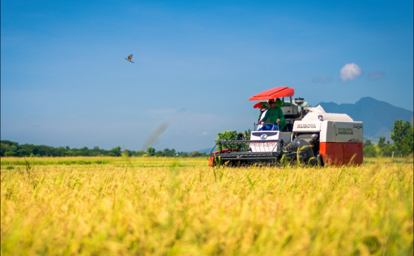 Proposed Bureau of Cooperative under DA to play pivotal role in consolidating fragmented farm land to achieve economies of scale, agri&nbsp;modernization