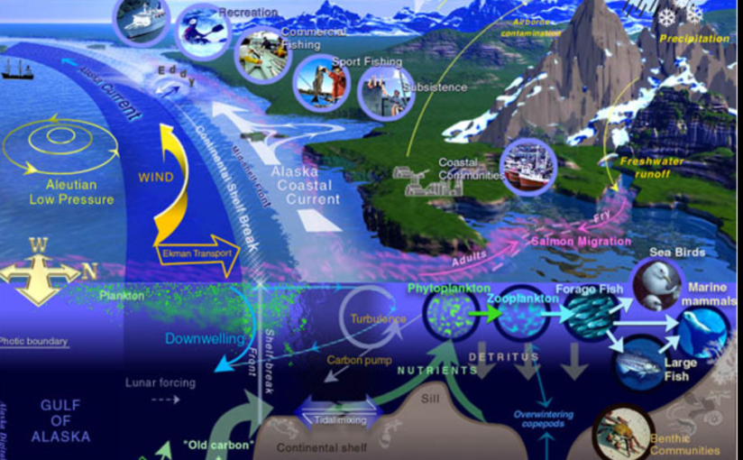 DENR implements ASEAN-wide GEF-funded project on Large Marine&nbsp;Ecosystems