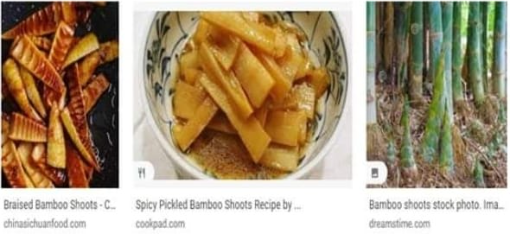 PBBM urged to help restore demand for bamboo by compelling DepEd to use it for school chairs so as to boost largely private-led $4.6 million&nbsp;investment