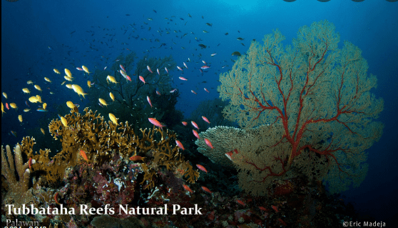 Five sites including Tubbataha Reefs named candidate for an ASEAN marine protected area management&nbsp;project