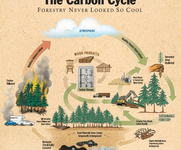 DA pushes for collaboration with infra, public works firms to fight massive flooding in Metro Manila, climate&nbsp;change