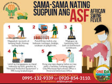 DA asks LGUs to supplement DA’s effort to curb ASF, compels them to report State of Calamity to access disaster&nbsp;funds