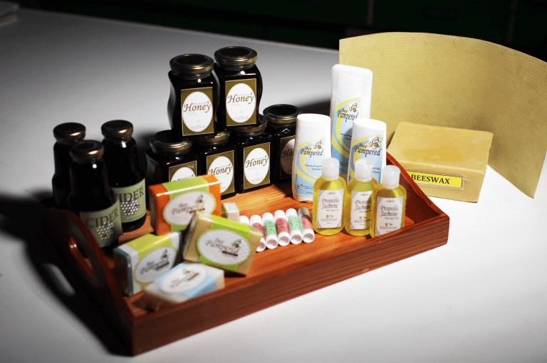 DA to replicate beekeeping program of Mindoro’s Mangyans that propagates indigenous honeybee&nbsp;breeds