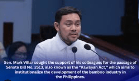 Kawayan Act strongly supported by Senate as bamboo is seen to contribute $3.5B to economy, pollution control&nbsp;aims